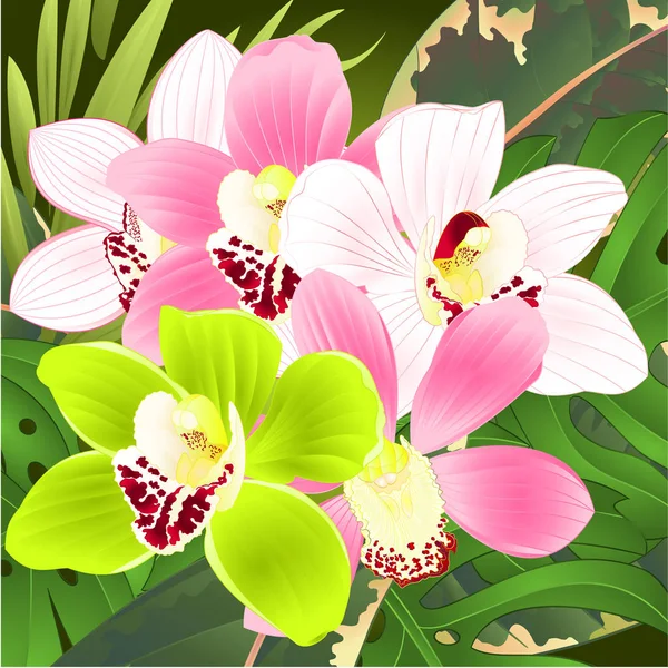 Storczyki Cymbidium Tropikalne Kwiaty Różowy Biały Zielony Bukiet Palmą Philodendron — Wektor stockowy
