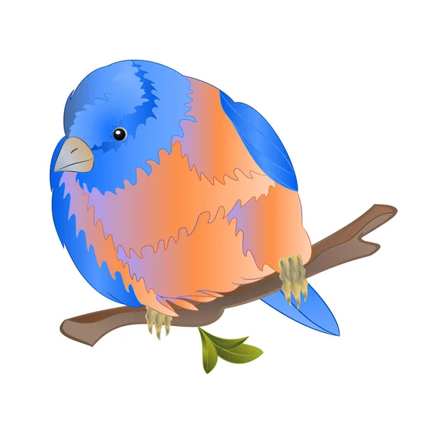 Pájaro Bluebird Pequeña Candidiasis Acuarela Sobre Fondo Blanco Vintage Vector — Vector de stock