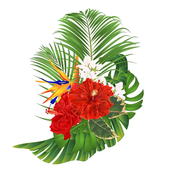 Tropische Bloemen Boeket Met Rode Hibiscus Strelitzia Reginae Palm Monstera — Stockvector