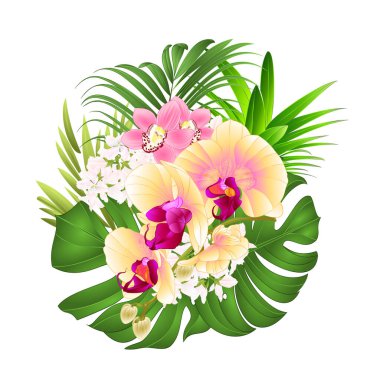 Tropikal çiçekler sarı orkide ve simibidyum ananas yaprakları, palmiye, filodendron ile çeşitli buketler beyaz arkaplan vektör çizimi düzenlenebilir el çizimi