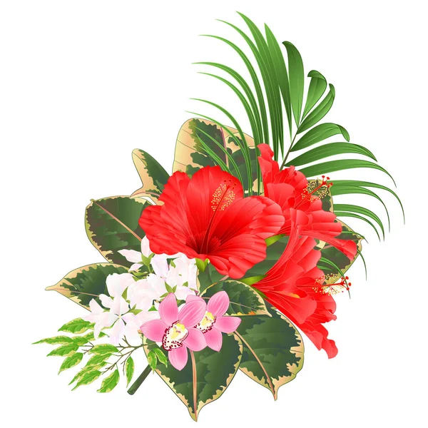 熱帯の花の花の配置と花束 美しい赤ハイビスカスとピンクの蘭シンビウムFicus Benjaminaと信じられないほどの自然背景ヴィンテージベクトルイラスト編集可能な手描き — ストックベクタ