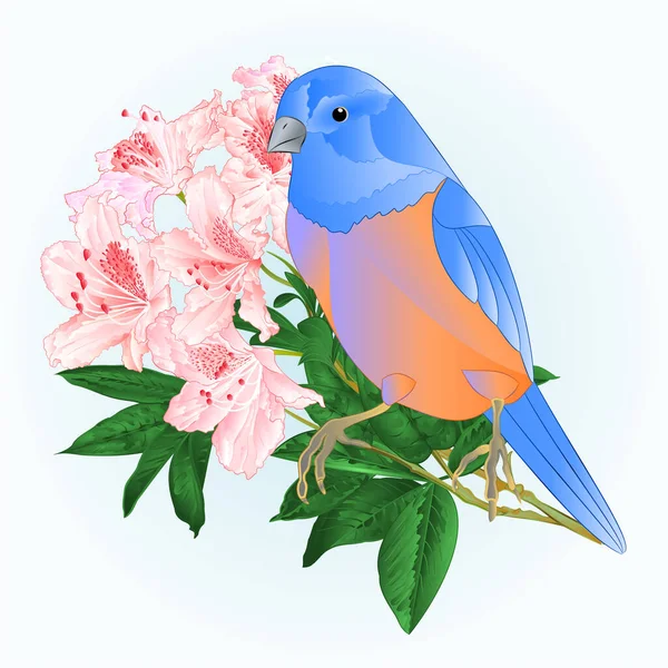Pták Malý Bluebird Drozd Světle Růžová Rododendron Akvarel Jaro Pozadí — Stockový vektor
