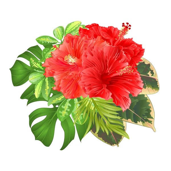 Boeket Met Tropische Bloemen Bloemstuk Met Mooie Roze Hibiscus Schefflera — Stockvector