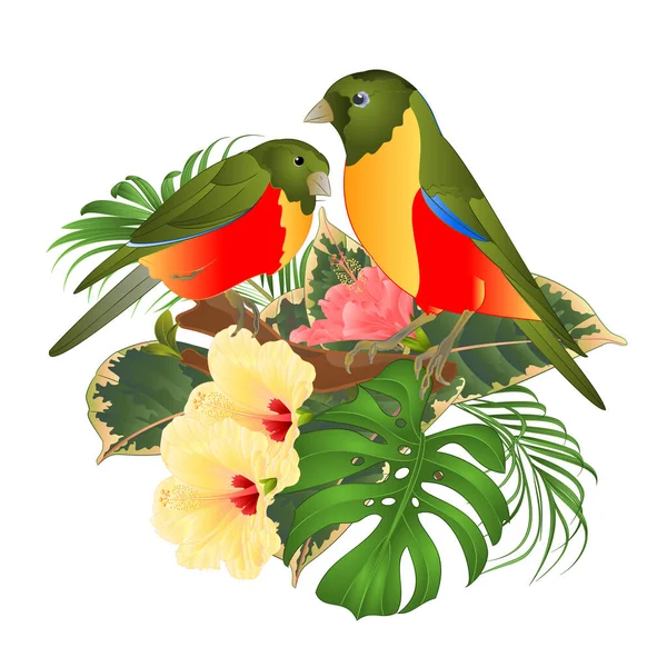熱帯の花のハイビスカスが枝の上にある2羽の熱帯の鳥の花束 白い背景のヴィンテージベクトルイラスト編集可能な手描き — ストックベクタ
