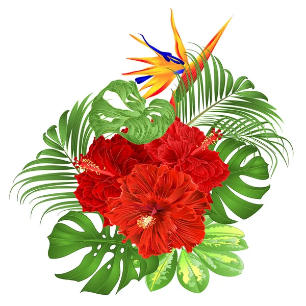 Buquê Com Flores Tropicais Arranjo Floral Com Strelitzia Cheio Hibisco — Vetor de Stock