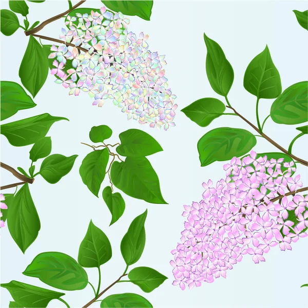 Nahtlose Textur Zweige Flieder Mehrfarbig Und Hellrosa Mit Blumen Und — Stockvektor
