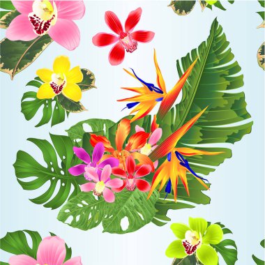 Tropikal çiçekli kusursuz desenli buket Strelitzia reginae pembe ve mor orkide cymbidium ve Cattleya palmiye canavarı muz yaprağı muz suluboya illüstrasyon düzenlenebilir el çizimi 