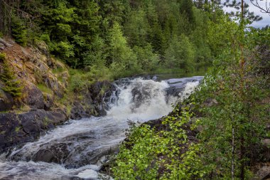 Karelya, şelale Kivach. Rusya 