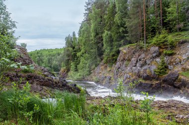 Karelya, şelale Kivach. Rusya 