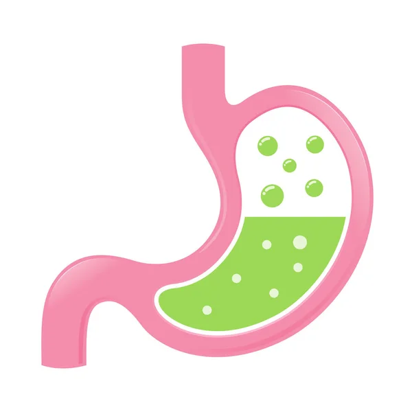 Stomach Icon With Acid And Bubbles — Stock Vector