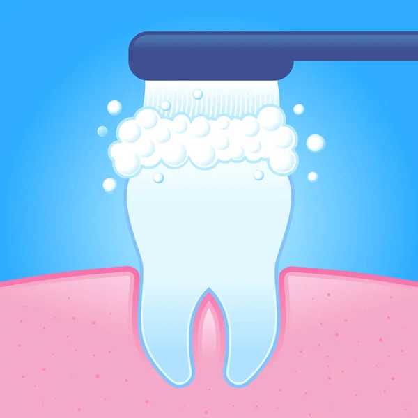 Čištění zubů s zubní kartáček — Stockový vektor