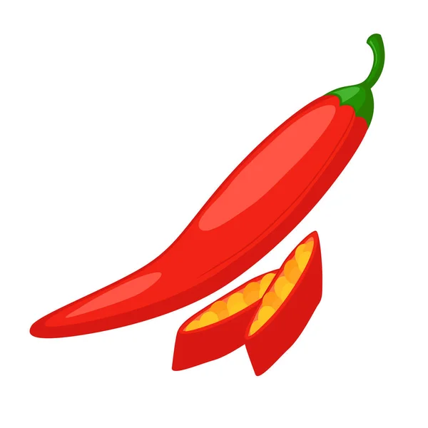 Chili Spice kruiden In hele en gesneden — Stockvector