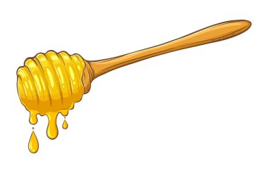 Tahta bir deriden damlayan bal, beyaz arkaplanda izole edilmiş el çizimi vektör çizimi