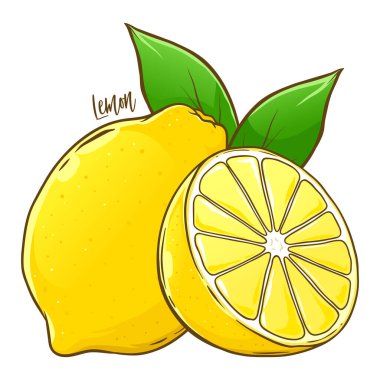 Limon dilimlenmiş ve yapraklarla dolu, el çizimi vektör çizimi beyaz arka planda izole edilmiş.
