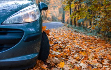 Araba sonbahar yaprakları
