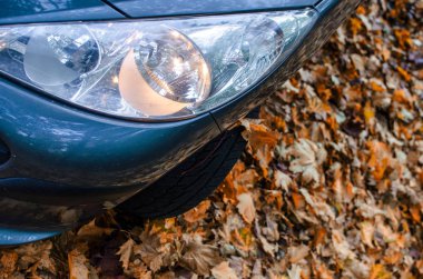 Araba sonbahar yaprakları