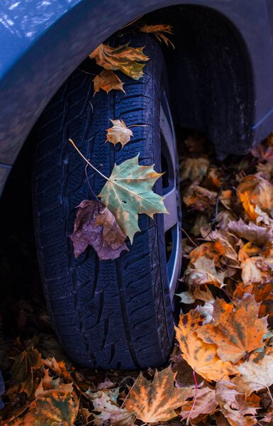 Car in autumn leaves