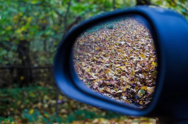 Backspegeln och hösten — Stockfoto