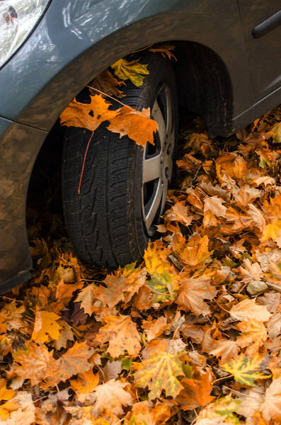 Car in autumn leaves