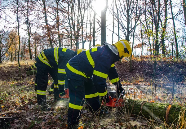 Brandweer in actie na een winderige storm — Stockfoto