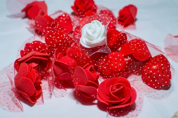 Red and white valentine rose — Stock Photo, Image