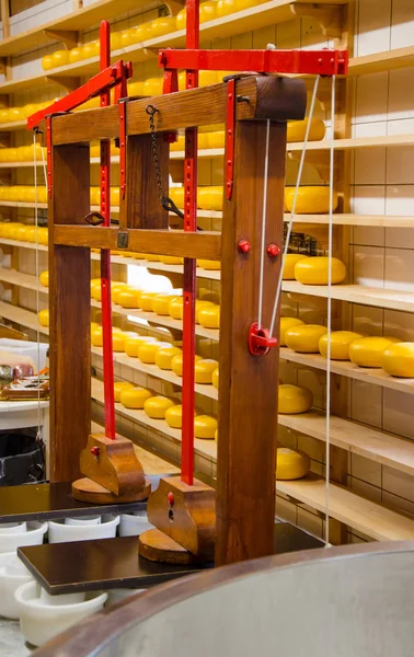 Cheese production in the Netherlands — Stock Photo, Image