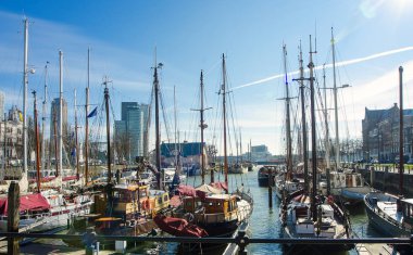 Rotterdam liman gemi