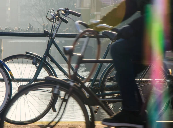 Kerékpárosok Amszterdamban Jogdíjmentes Stock Képek