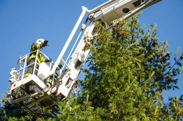 Pompiers en interférence — Photo