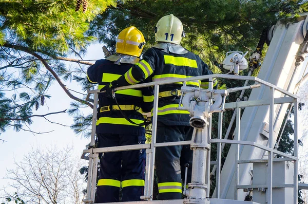 Brandweerlieden in storing — Stockfoto