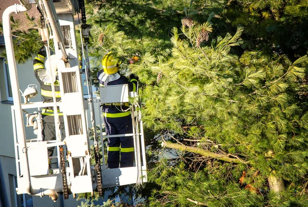 Pompiers en interférence — Photo