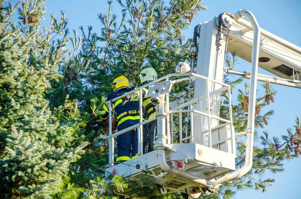 Bomberos en interferencia —  Fotos de Stock