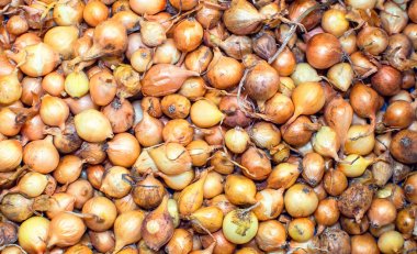 Bir yığın üzerinde birçok soğan ampuller.