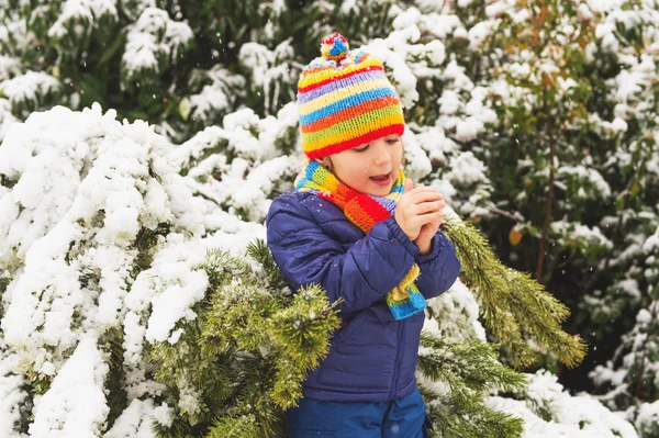 Retrato ao ar livre jovem menino de 4 anos vestindo casaco azul, conjunto colorido de chapéu de malha artesanal e cachecol, desfrutando de tempo de inverno — Fotografia de Stock
