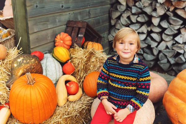 5-6 yıl Cadılar Bayramı Balkabağı çiftliği pazarında seçme eski sevimli küçük çocuk — Stok fotoğraf
