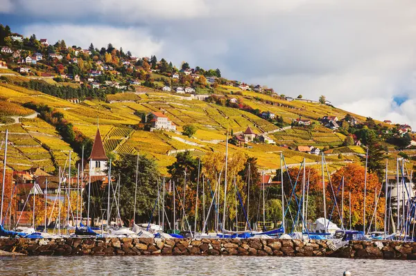 Jesienny krajobraz Jeziora Genewskiego, Lavaux winnice, Szwajcaria — Zdjęcie stockowe