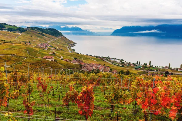 Terraços de vinhedos no Lago de Genebra no outono, Lavaux, Vaud, Suíça — Fotografia de Stock