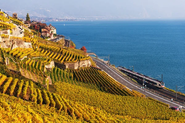 Terrazas de viñedos en el lago de Ginebra en otoño, Lavaux, Vaud, Suiza — Foto de Stock