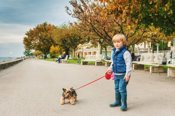 Lille dreng går med lille yorkshire terrier, iført blå vest - Stock-foto