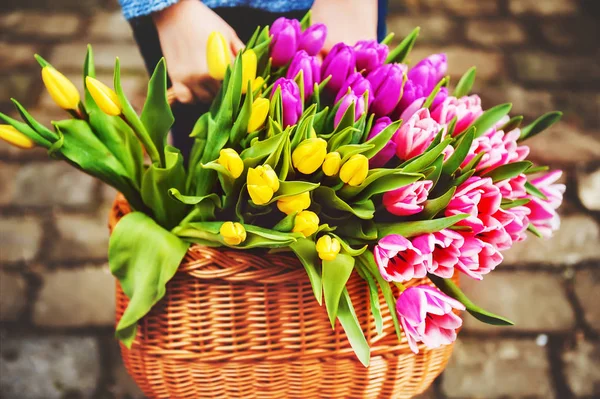 En stor kurv fuld af friske farverige tulipaner, der holdes af et barn, udendørs, koncept til mors dag - Stock-foto
