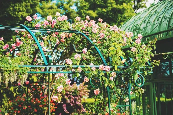 Hermoso arco de flores con rosas en el jardín de verano — Foto de Stock