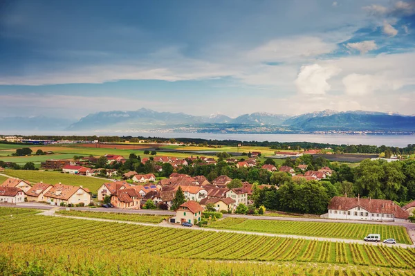 Atemberaubende Aussicht auf die Lavaux-Weinberge, den Genfer See und die französischen Alpen Haute-Savoie, Schweiz — Stockfoto