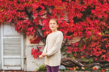 Sonbahar giyen sevimli küçük kız portresi bej kazak elbise, kırmızı sarmaşık yaprakları ile duvara poz örme 