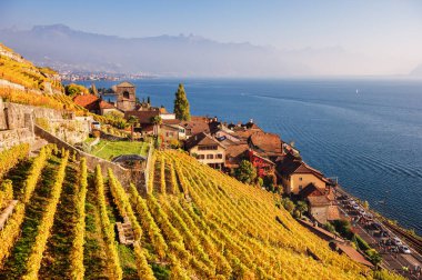 Cenevre Gölü, bağ teraslar halinde sonbahar, Lavaux, Vaud, İsviçre