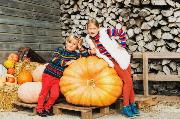 Küçük kız ve erkek kardeşim çiftlik pazarında Cadılar Bayramı Balkabağı seçme — Stok fotoğraf