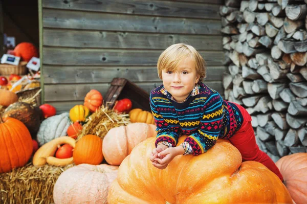 5-6 yıl Cadılar Bayramı Balkabağı çiftliği pazarında seçme eski sevimli küçük çocuk — Stok fotoğraf