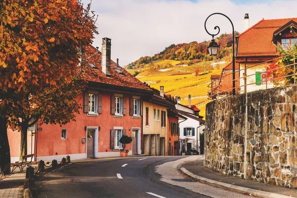 Small streets of swiss medieval village Saint-Saphorin, Lavaux vineyards — Stock Photo, Image