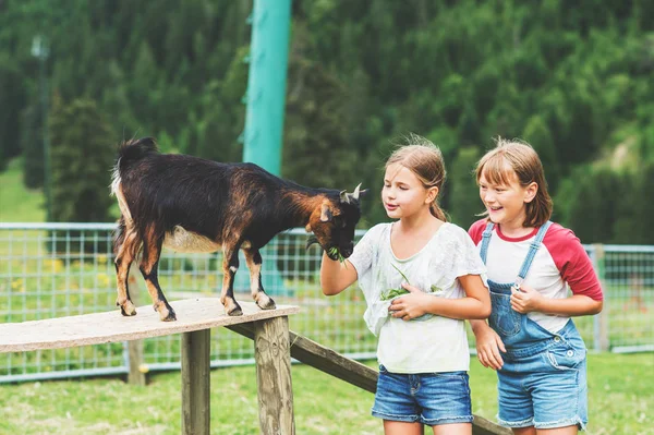 Fetițele mici se joacă cu capre în timpul vacanței de vară în terenul agricol — Fotografie, imagine de stoc