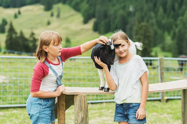 Lille barn piger leger med geder i sommerferien i landbrugsjord - Stock-foto