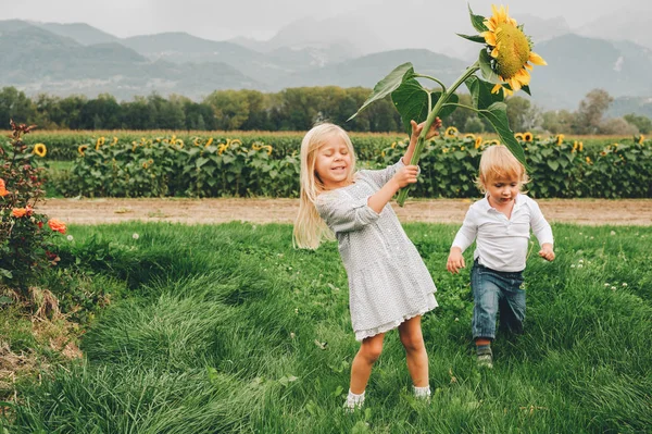 Grupp 2 roliga barn som leker tillsammans i blomsterfält, semester på landsbygden med barn. Lycklig aktiva barndom. Familj som njuter av naturen i sommar — Stockfoto